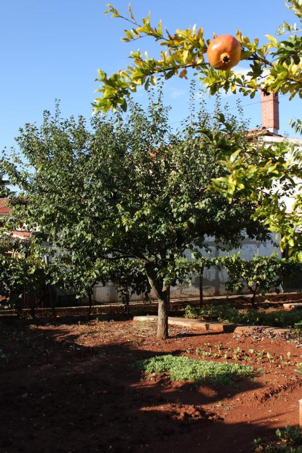 Apartments With A Parking Space Umag - 7057 Екстер'єр фото